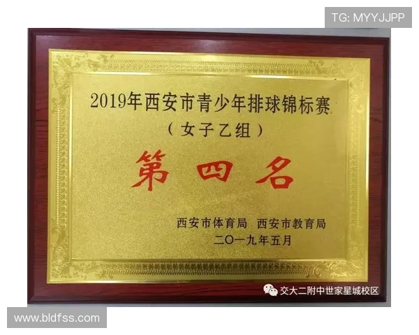 排球比赛经验排行榜揭晓西安排球队荣登第十名引发热议