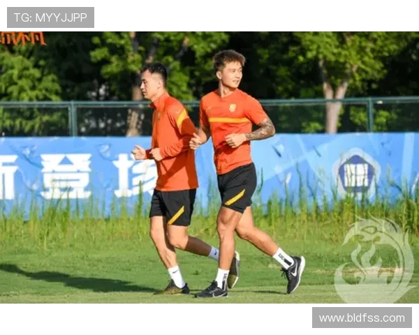 武汉篮球队在城市联赛中的团队协作表现分析与点评