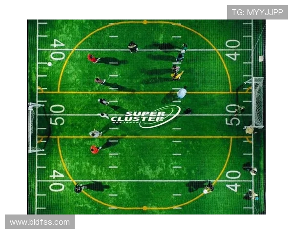 武汉飞盘队与南京飞盘队赛后复盘分析团队配合与战术执行的关键要素