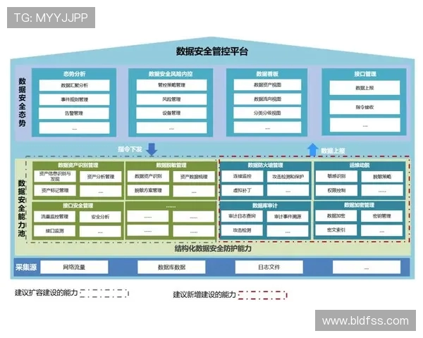 深圳乒乓球队的战术运营体系解析与实践探讨