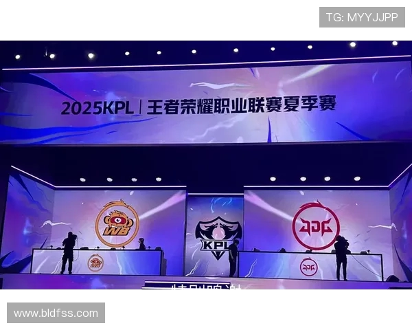 王者荣耀深度分析：探讨JDG选手个人能力与团队协作的完美结合