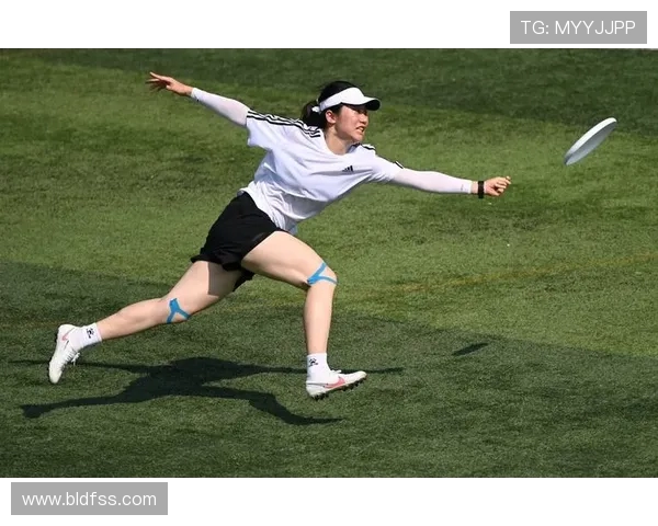 西安飞盘队比赛经验分析与表现评估的深度研究