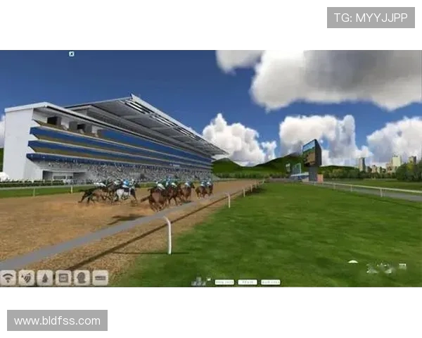 赵强独家揭秘：深入解析足球战术与技巧的心得分享