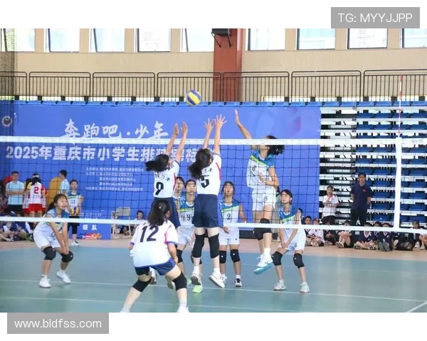 重庆排球队在全国排球速度排行榜中荣登第五名展现强劲实力与潜力