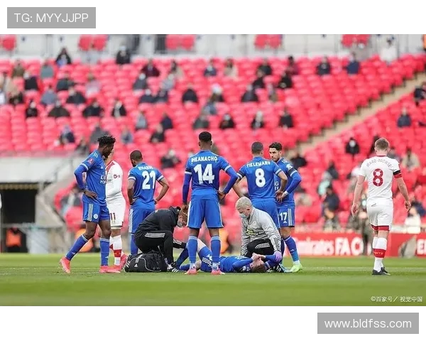 威灵顿凤凰主场迎战墨尔本球队争夺胜利的精彩对决 威灵顿凤凰主场迎战墨尔本球队争夺胜利的精彩对决